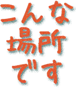 こんな場所です